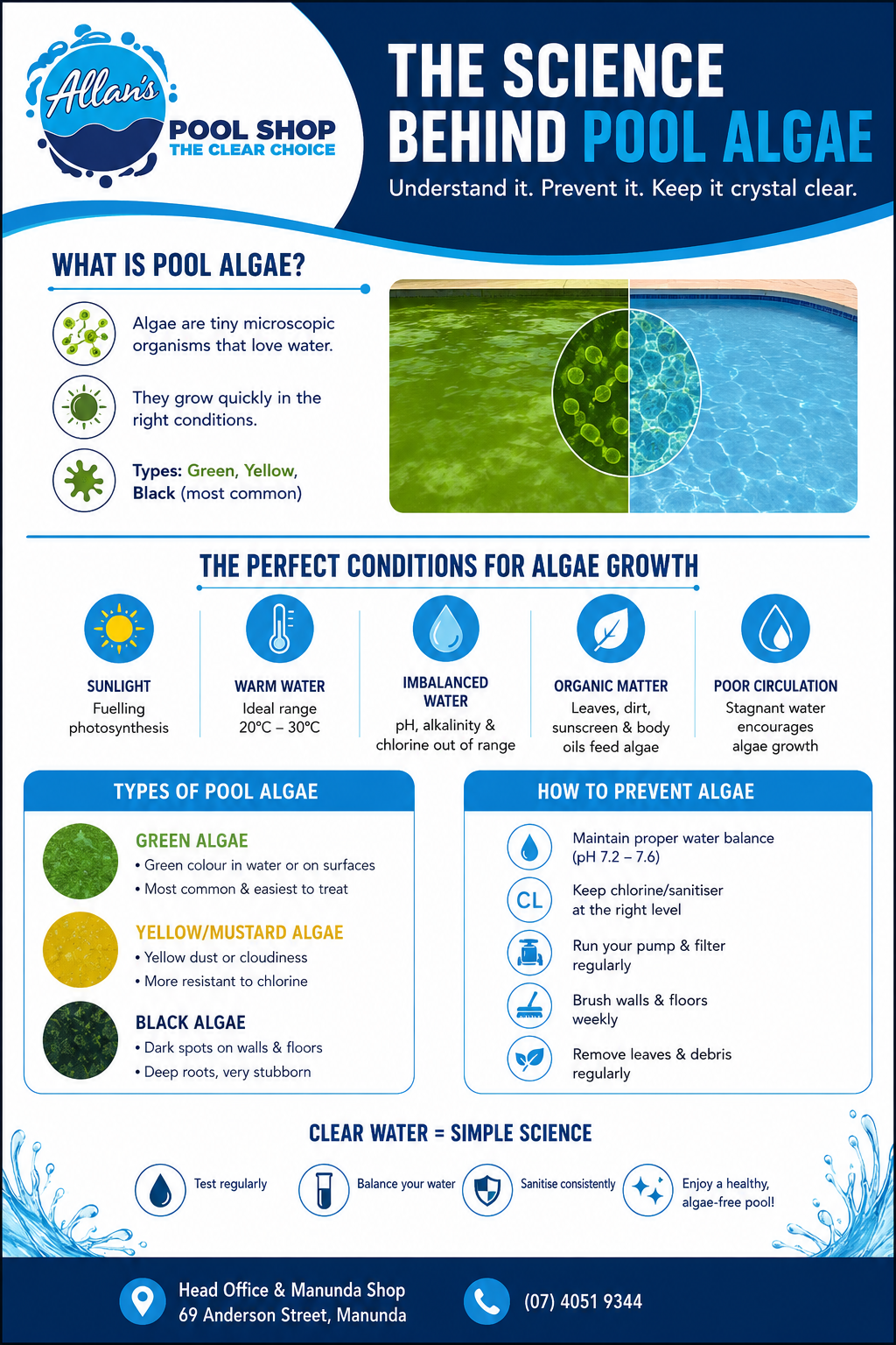 The-Science-Behind-Pool-Algae-—-And-How-to-Beat-It-for-Good | Allan's Pool Shop